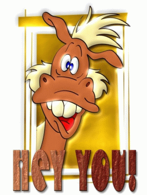 ► TTT-Team / Dienstag, 27.09.2005 16222